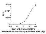 Human IgG Fc Secondary Antibody in ELISA (ELISA)