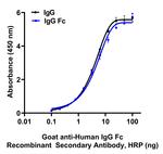 Human IgG Fc Secondary Antibody in ELISA (ELISA)