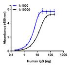 Human IgG Fc Secondary Antibody in ELISA (ELISA)
