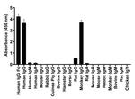 Human IgG Fc Secondary Antibody in ELISA (ELISA)