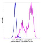 Human IgG Fc Secondary Antibody in Flow Cytometry (Flow)