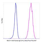 Human IgG (H+L) Secondary Antibody in Flow Cytometry (Flow)