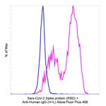 Human IgG (H+L) Secondary Antibody in Flow Cytometry (Flow)