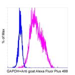 Goat IgG Secondary Antibody in Flow Cytometry (Flow)