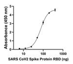 Human IgG (Heavy chain) Secondary Antibody in ELISA (ELISA)