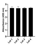 Human IgG (Heavy chain) Secondary Antibody in ELISA (ELISA)