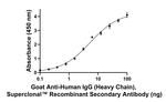 Human IgG (Heavy chain) Secondary Antibody in ELISA (ELISA)