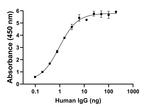 Human IgG (Heavy chain) Secondary Antibody in ELISA (ELISA)