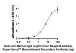 Human IgG (Light chain) Secondary Antibody in ELISA (ELISA)