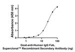 Human IgG Fab Secondary Antibody in ELISA (ELISA)