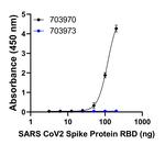 Human IgG (Kappa light chain) Secondary Antibody in ELISA (ELISA)