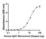 Human IgG (Kappa light chain) Secondary Antibody in ELISA (ELISA)