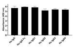 Human IgG Fc Secondary Antibody