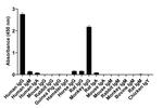 Human IgG (Heavy Chain) Secondary Antibody in Peptide array (ARRAY)