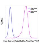 Rabbit IgG Fc Secondary Antibody in Flow Cytometry (Flow)