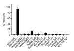 Mouse IgG1 Fc Secondary Antibody