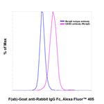 Rabbit IgG Fc Secondary Antibody in Flow Cytometry (Flow)