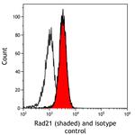 Rad21 Antibody in Flow Cytometry (Flow)