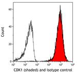 CDK1 Antibody in Flow Cytometry (Flow)