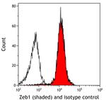 ZEB1 Antibody in Flow Cytometry (Flow)