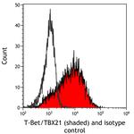 T-bet/TBX21 Antibody in Flow Cytometry (Flow)