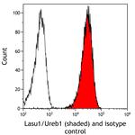 Lasu1/Ureb1 Antibody in Flow Cytometry (Flow)