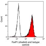 FOXP1 Antibody in Flow Cytometry (Flow)