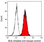 Bcl6 Antibody in Flow Cytometry (Flow)