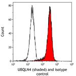 UBQLN4/CIP75/Ubiquilin 4 Antibody in Flow Cytometry (Flow)