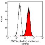 STAT5b Antibody in Flow Cytometry (Flow)