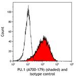 PU.1 Antibody in Flow Cytometry (Flow)