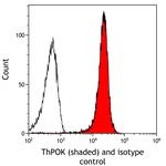 ThPOK Antibody in Flow Cytometry (Flow)