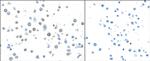 TGF-beta 1 Antibody in Immunocytochemistry (ICC/IF)