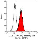 CD28 Antibody in Flow Cytometry (Flow)