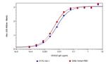 SARS-CoV Spike RBD Antibody in ELISA (ELISA)