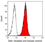 ZEB1 Antibody in Flow Cytometry (Flow)