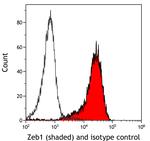 ZEB1 Antibody in Flow Cytometry (Flow)