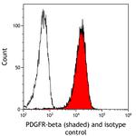 PDGFR beta Antibody in Flow Cytometry (Flow)