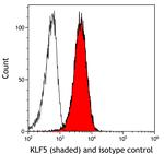 KLF5 Antibody in Flow Cytometry (Flow)