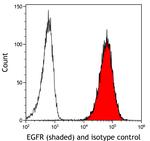 EGFR Antibody in Flow Cytometry (Flow)