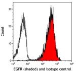 EGFR Antibody in Flow Cytometry (Flow)