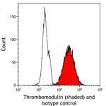 Thrombomodulin Antibody in Flow Cytometry (Flow)