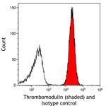 Thrombomodulin Antibody in Flow Cytometry (Flow)