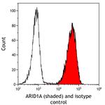 ARID1A/BAF250 Antibody in Flow Cytometry (Flow)