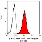 p16INK4a Antibody in Flow Cytometry (Flow)