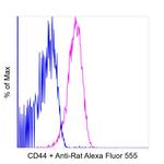 Rat IgG (H+L) Highly Cross-Adsorbed Secondary Antibody in Flow Cytometry (Flow)