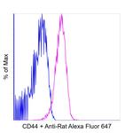 Rat IgG (H+L) Highly Cross-Adsorbed Secondary Antibody in Flow Cytometry (Flow)