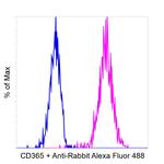 Rabbit IgG Fc, Cross-Adsorbed Secondary Antibody in Flow Cytometry (Flow)