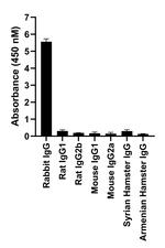 Rabbit IgG Fc, Cross-Adsorbed Secondary Antibody