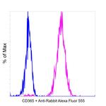 Rabbit IgG Fc, Cross-Adsorbed Secondary Antibody in Flow Cytometry (Flow)